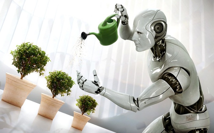 Tương Lai Của Dịch Vụ Khách Sạn 5 Sao: Robot Lễ Tân